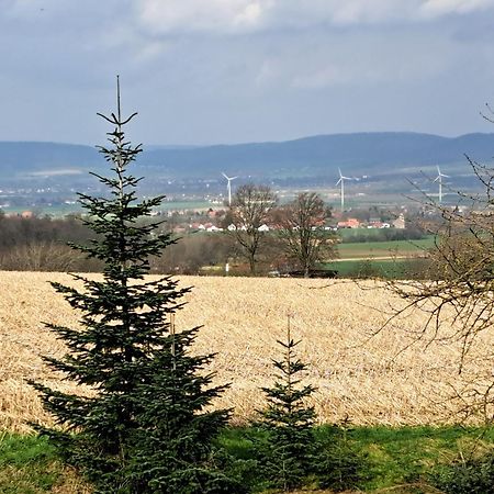 Zur Schoenen Aussicht Hamelín Exterior foto