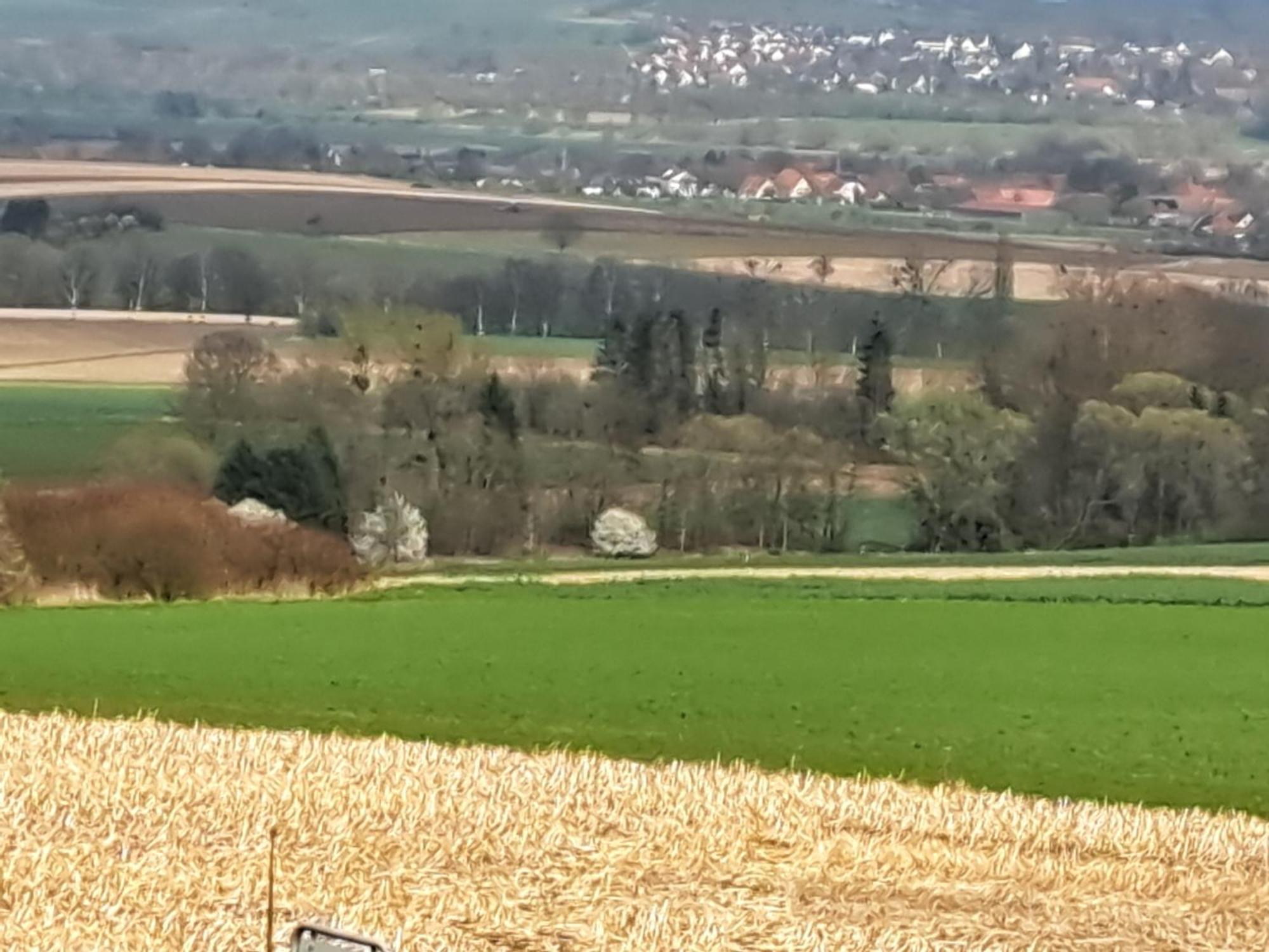Zur Schoenen Aussicht Hamelín Exterior foto