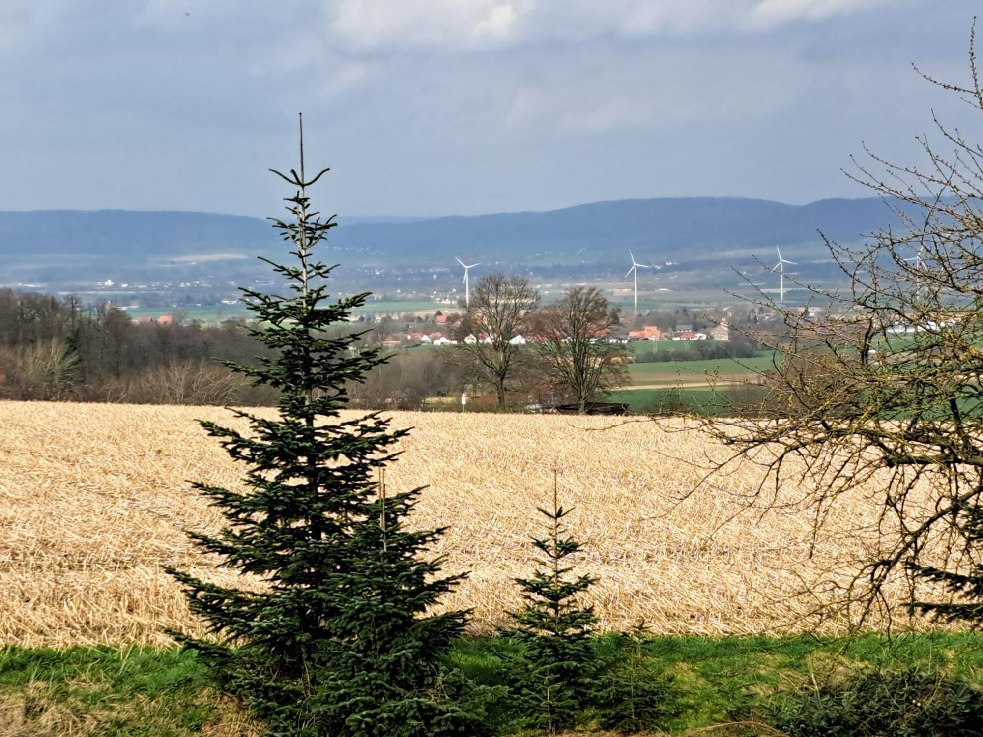 Zur Schoenen Aussicht Hamelín Exterior foto